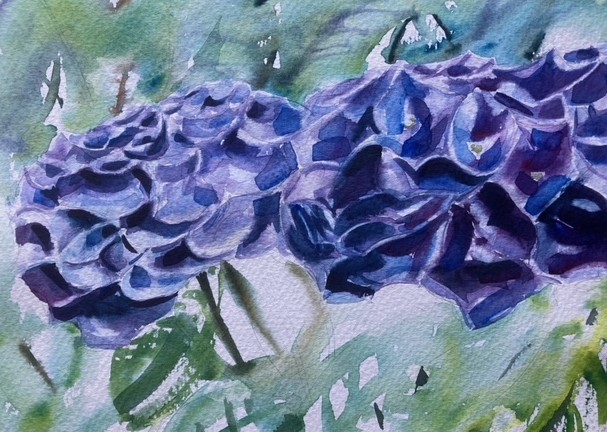 投稿についてもっと詳しく The Rainy Season