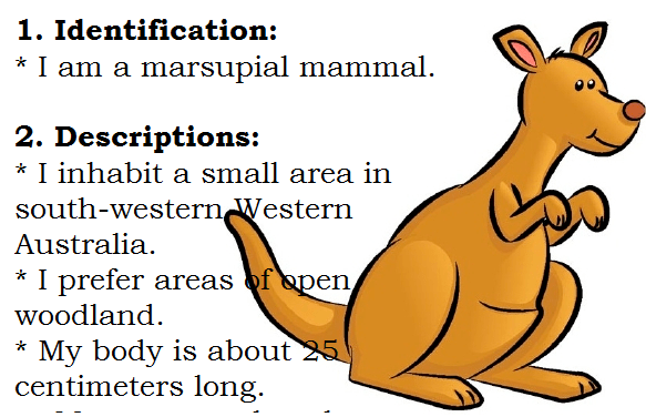 Dalam descriptive text ada 2 bagian pokok yaitu identification dan . Example Of Descriptive Text About Animal What Am I English Admin