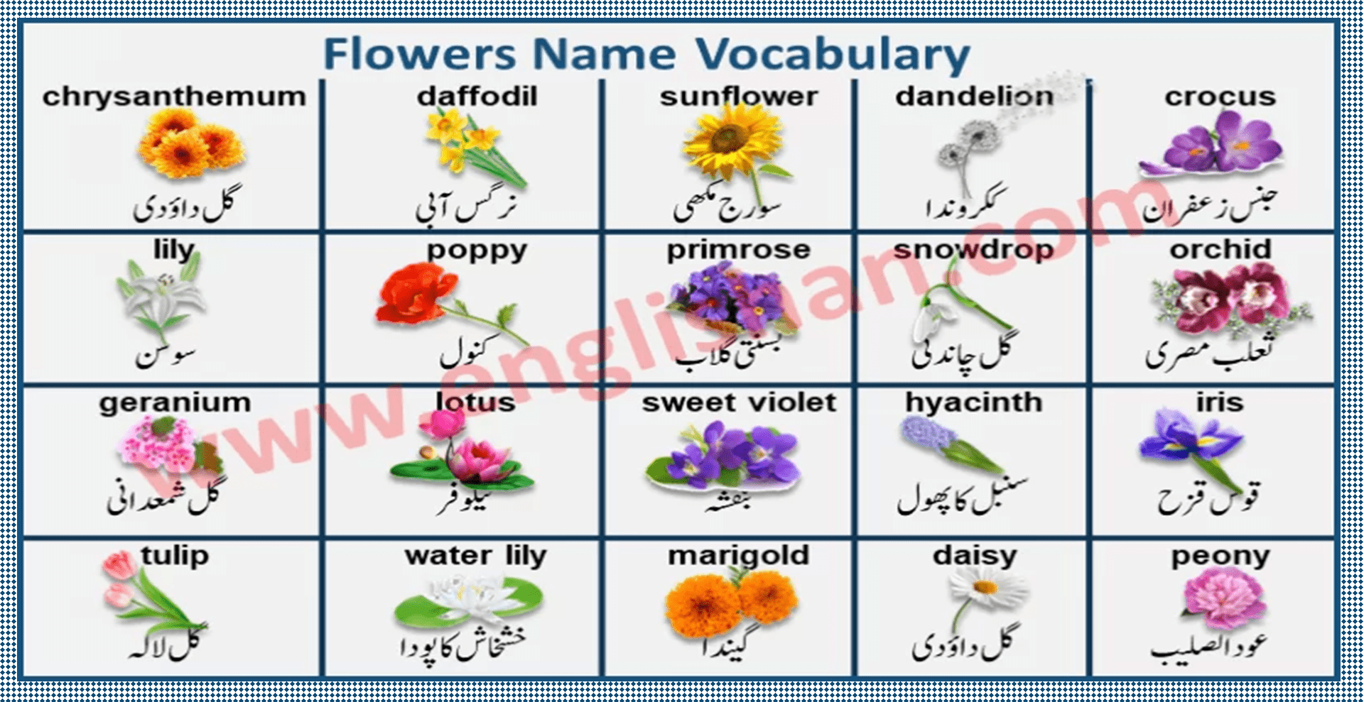 Check out the ideas of company names below. Flowers Name With Images In Urdu To English Pdf
