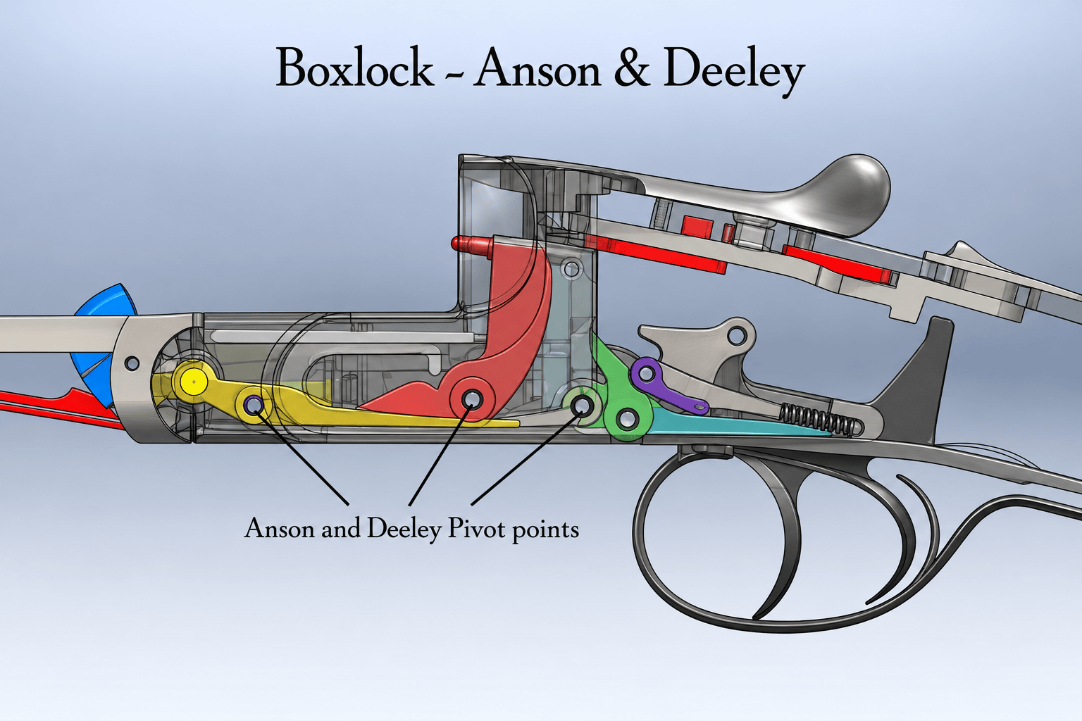 Cutaway diagram of an Anson and Deeley boxlock mechanism showing the lockwork contained within the action body.