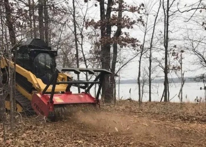 Brush Removal Services