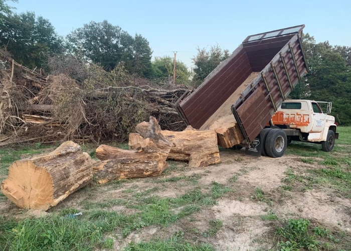 Stump Grinding Services