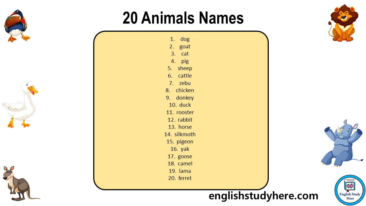 20 animals names, animals names list