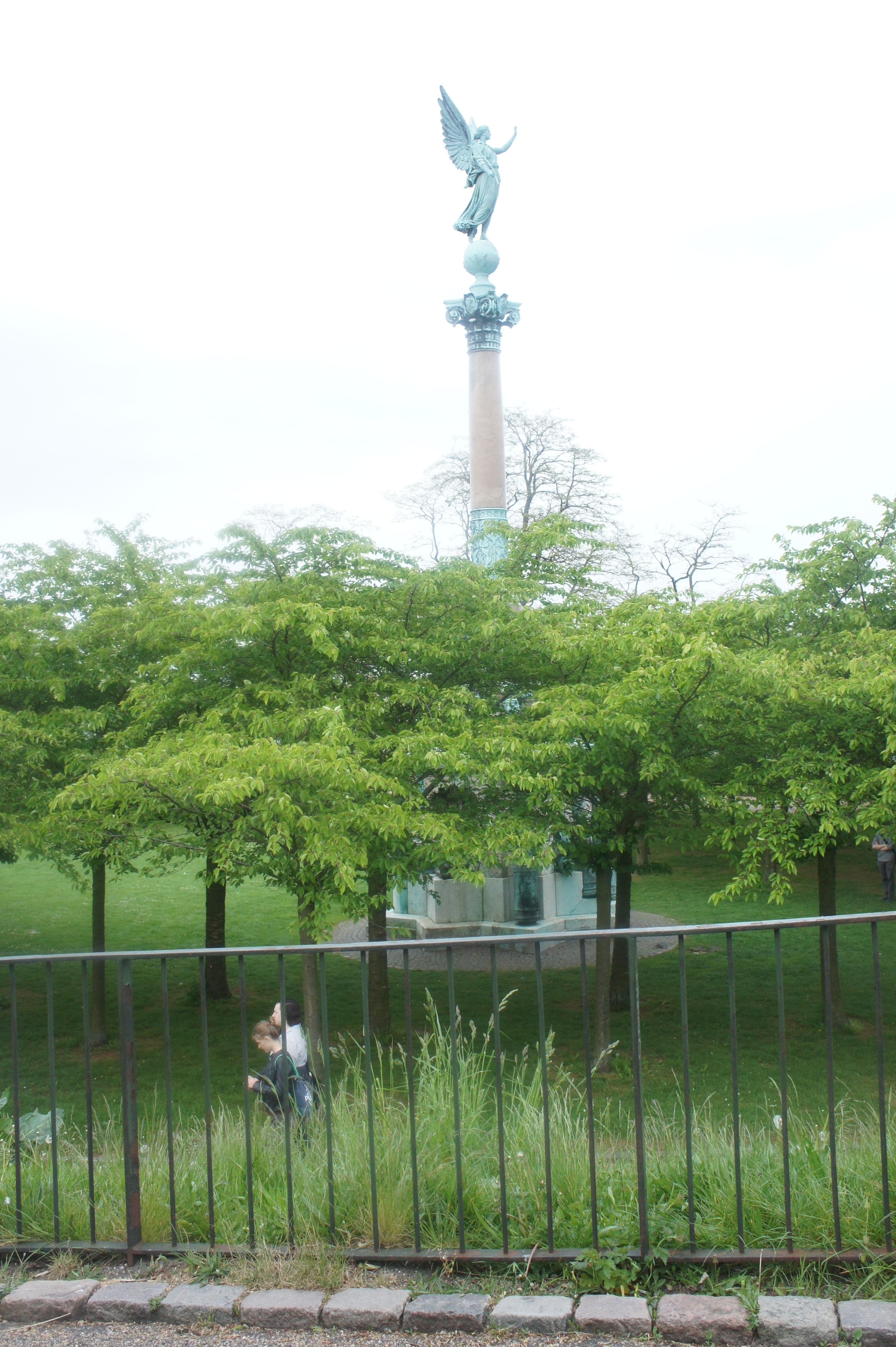 SONY DSC
