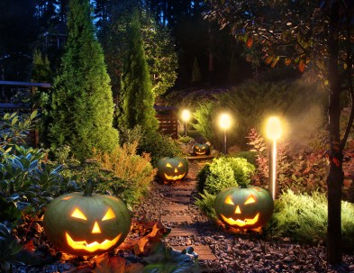 Light up your walkway or specific path to help minimize halloween lawn damage. 