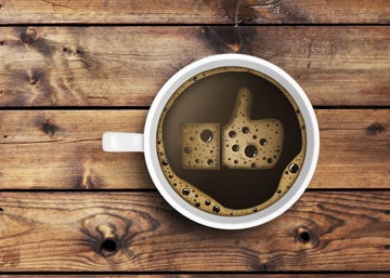 Java Civet Coffee - Sunset Photos - High Quality Ultra HD Collection