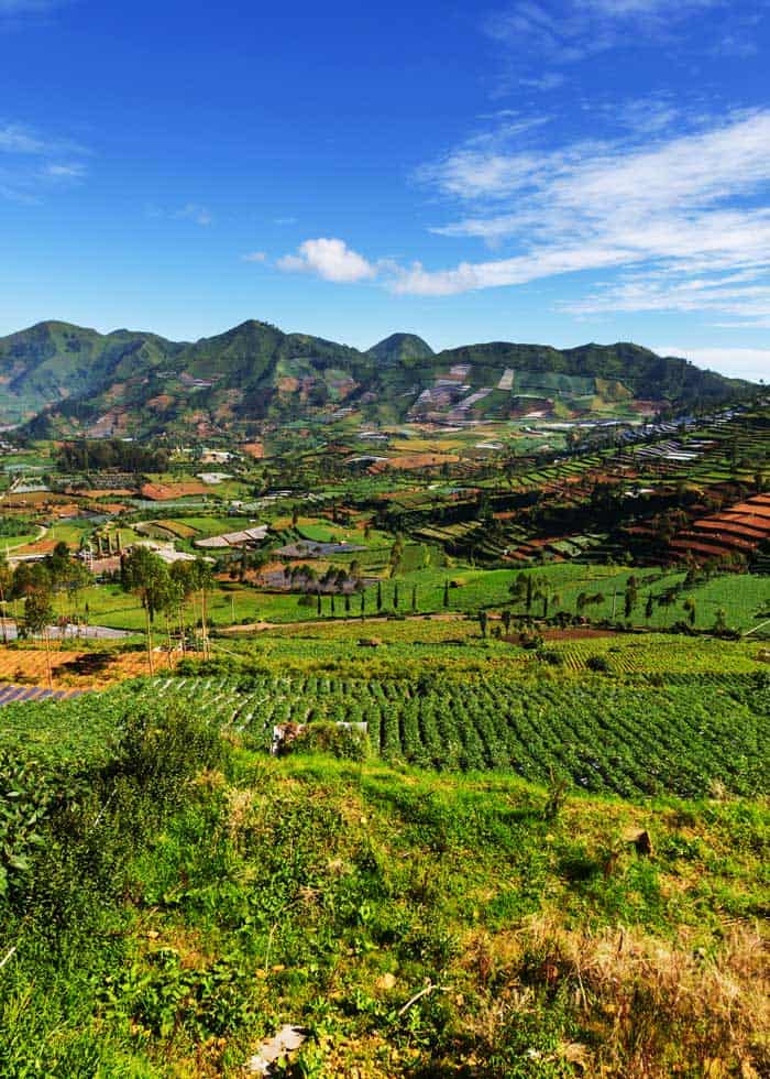 What Is Java Coffee And Why Do We Call Coffee Java Mountain Lyon Cafe - Professional 4K Minimal Backgrounds | Free Download