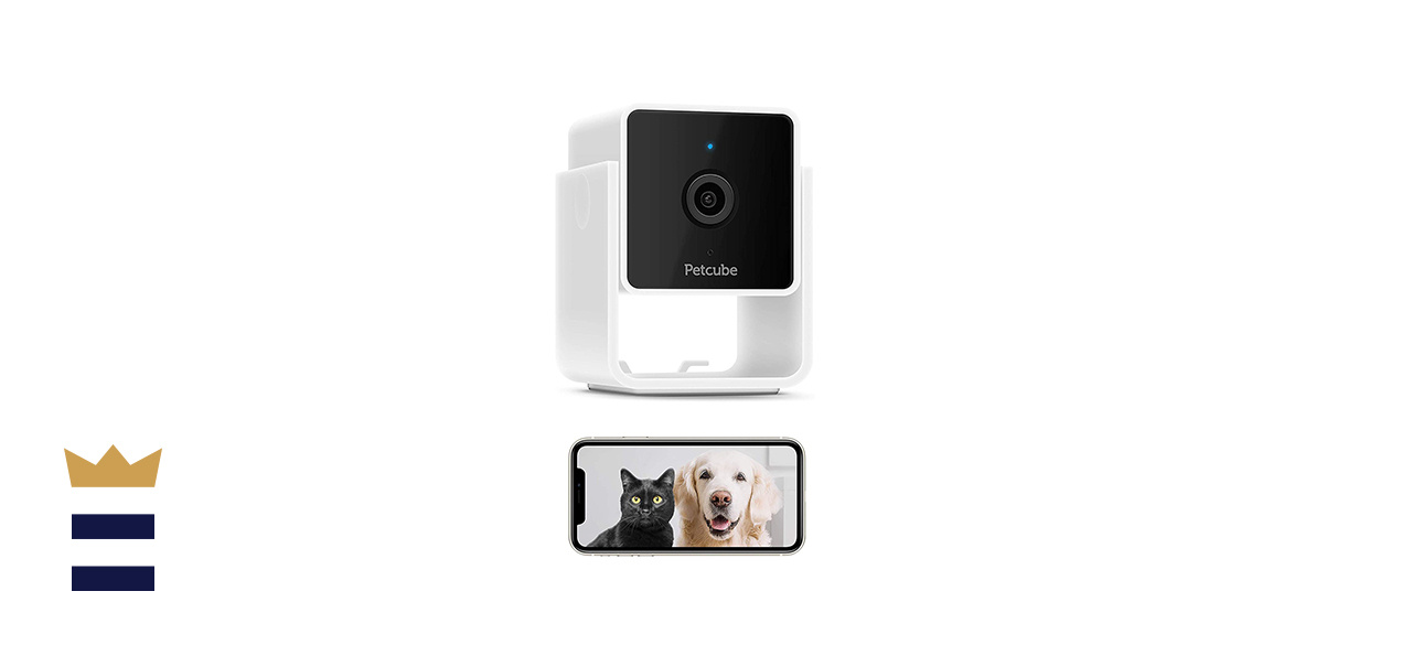 Content Image Petcube Cam