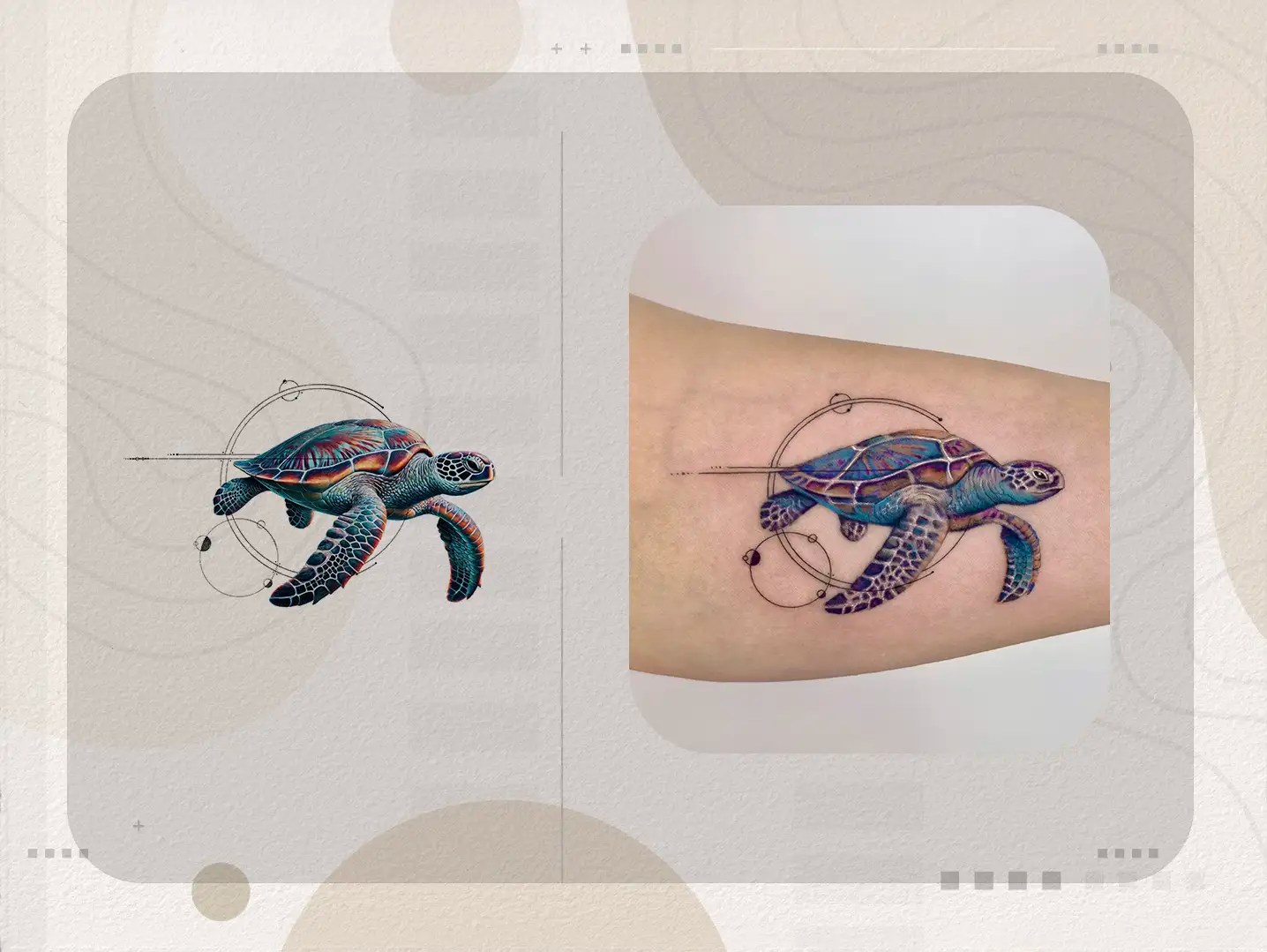 Schildkröte