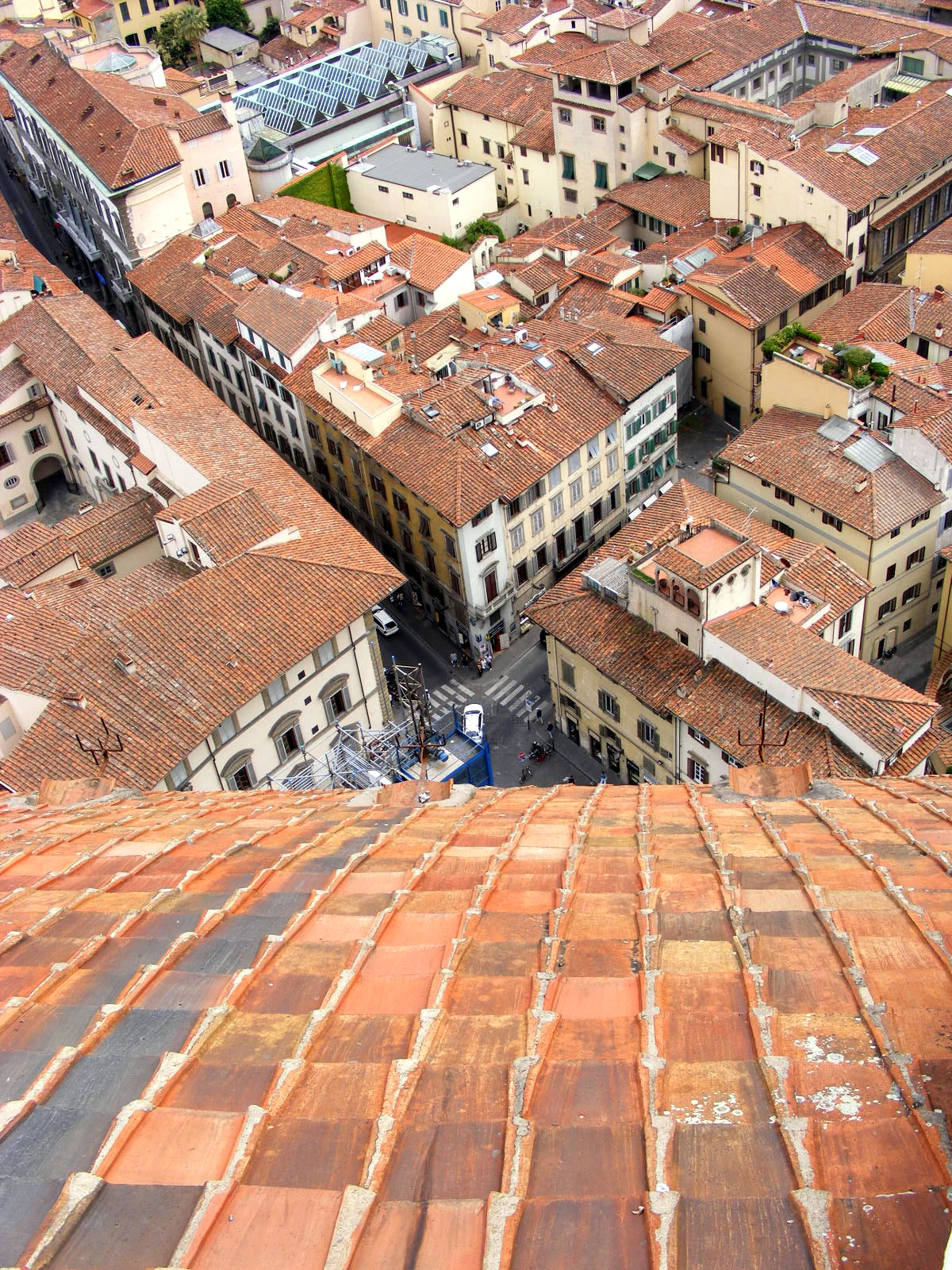 firenze 10