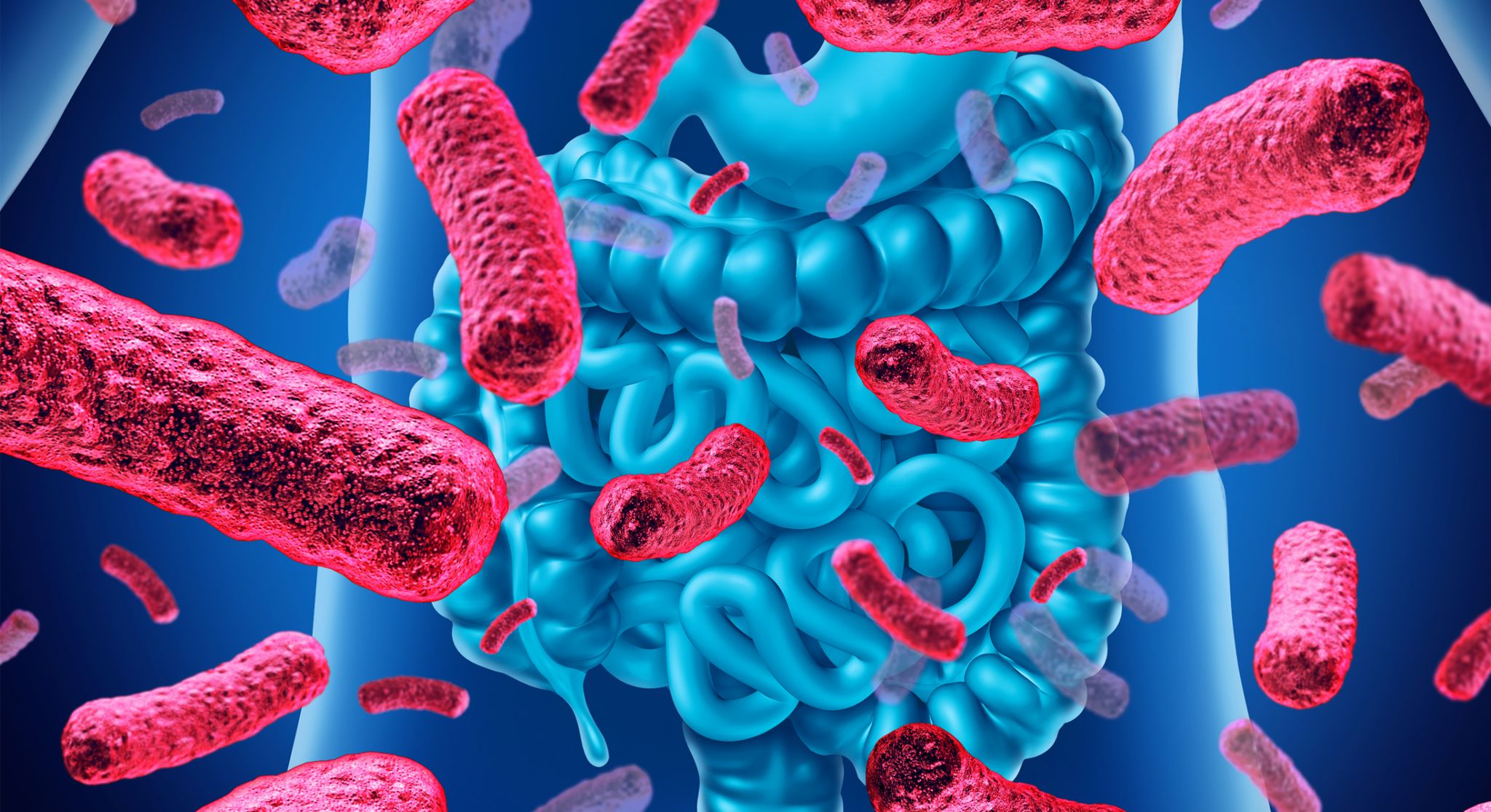 Probioticos