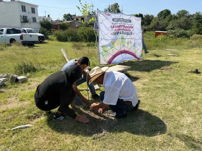 Gobierno de Chedraui impulsa reforestación para recuperar infraestructura verde