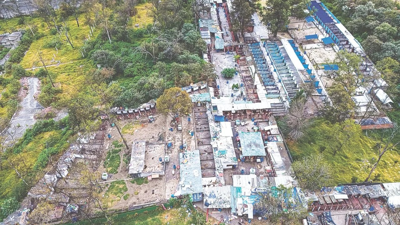 Abogado del Refugio Franciscano confirma apertura al proceso de adopción