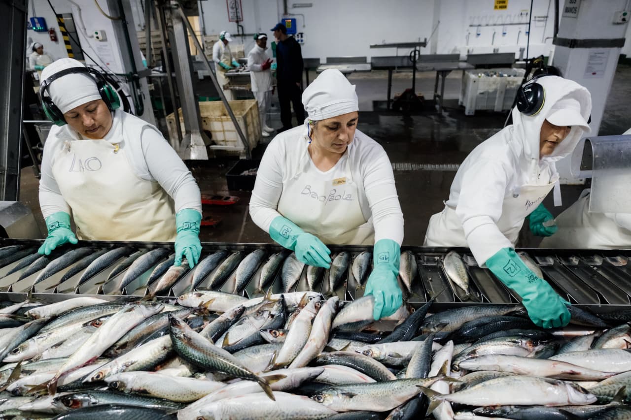 Más de 13.300 artículos y 310 empresas forman parte del plan Producto Local