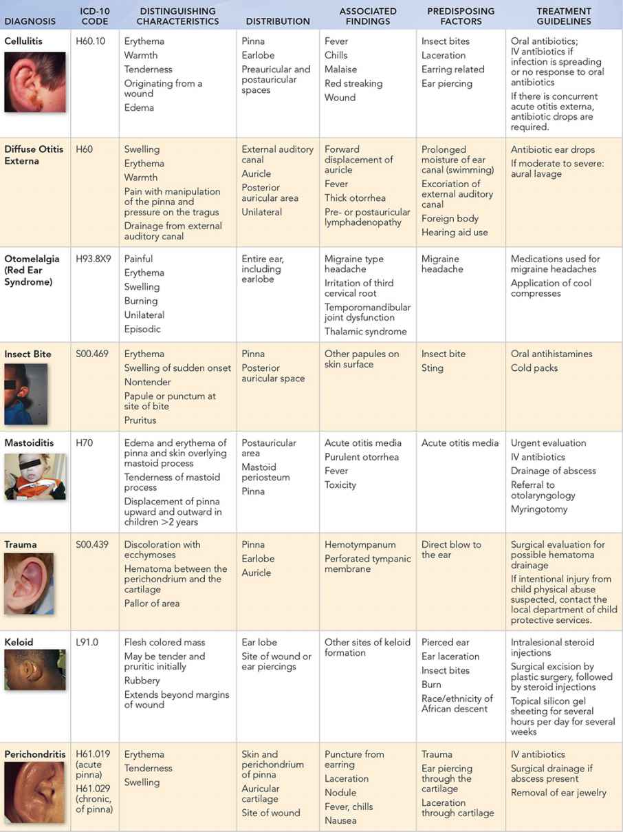 Raised Red Rashes | Ento Key