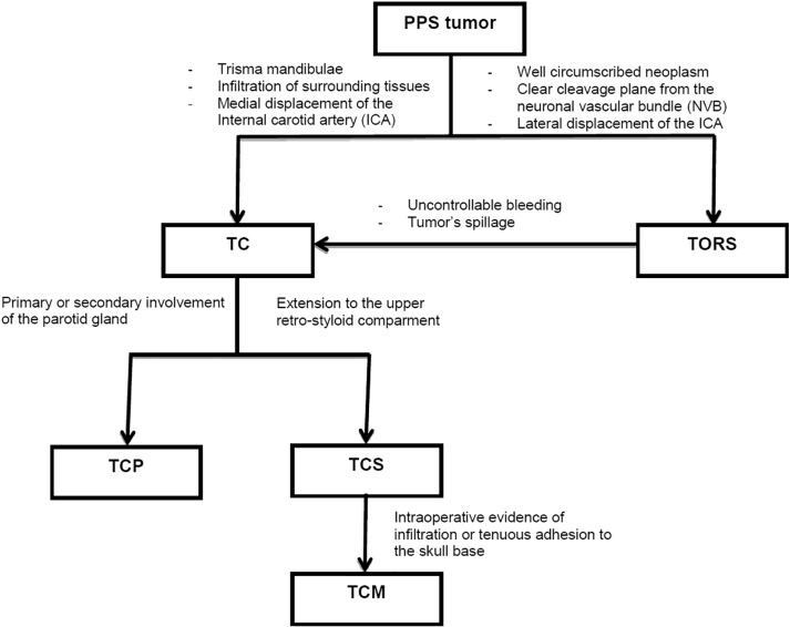From transmandibular to transoral robotic approach for parapharyngeal ...