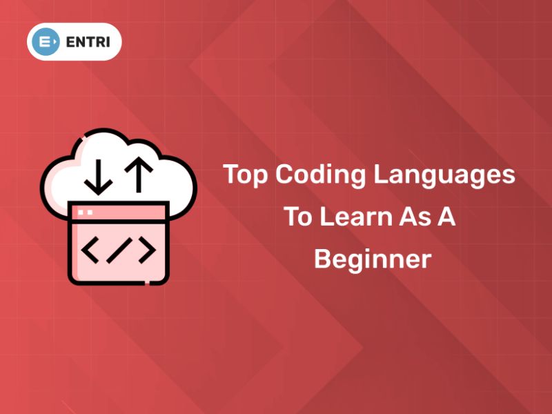 Best Beginner Coding Languages To Learn Moldstud - Landscape Wallpaper Collection - 4K Quality
