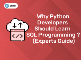 Why Python Developers Should Learn Sql Programming Experts Guide