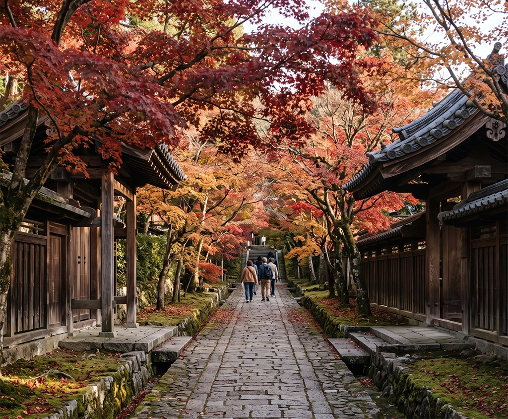 Kyoto November Autumn Weather