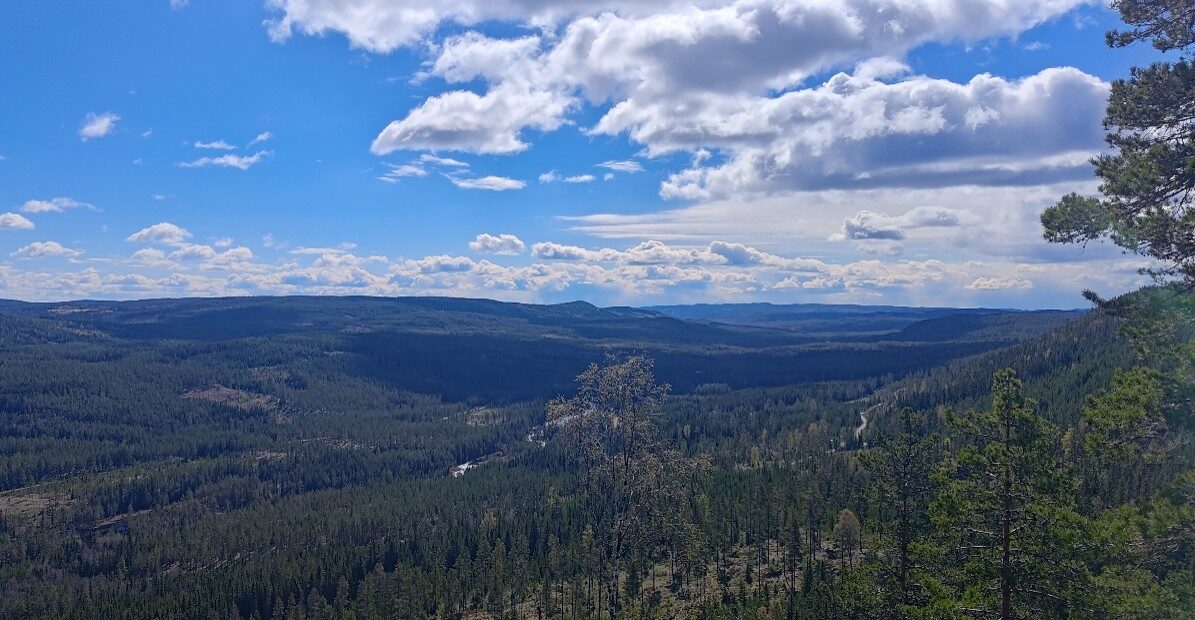 View over Finnskogen forest