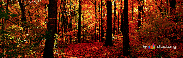 Get 23 watermark wordpress plugins, code & scripts on codecanyon. Make Your Mark Wordpress Watermark Plugins For Photographers