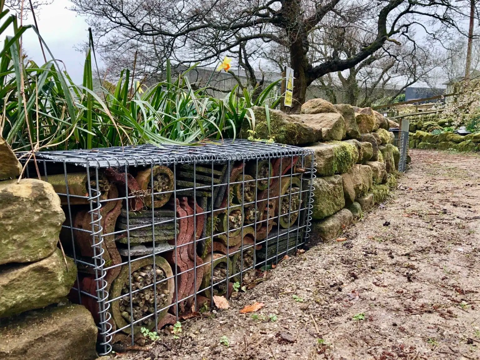 Enviromesh gabions used to create bug hotel