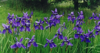 Barplot With Errorbars Environmental Computing - 8K Light Arts for Desktop