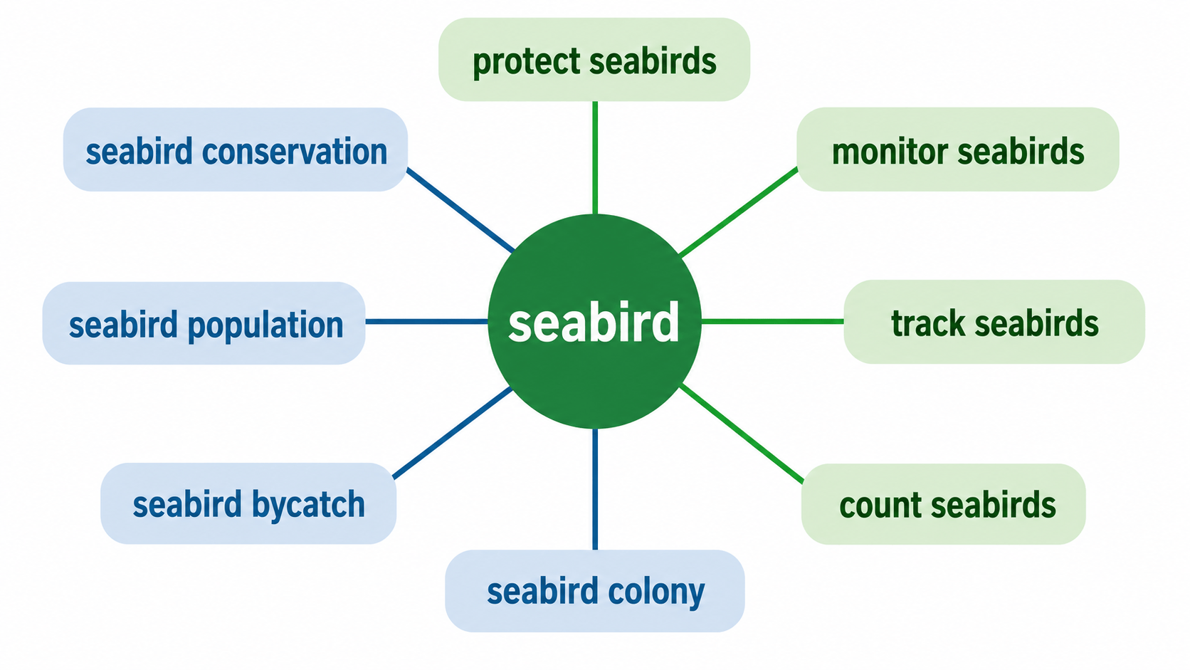 seabird 연어 다이어그램