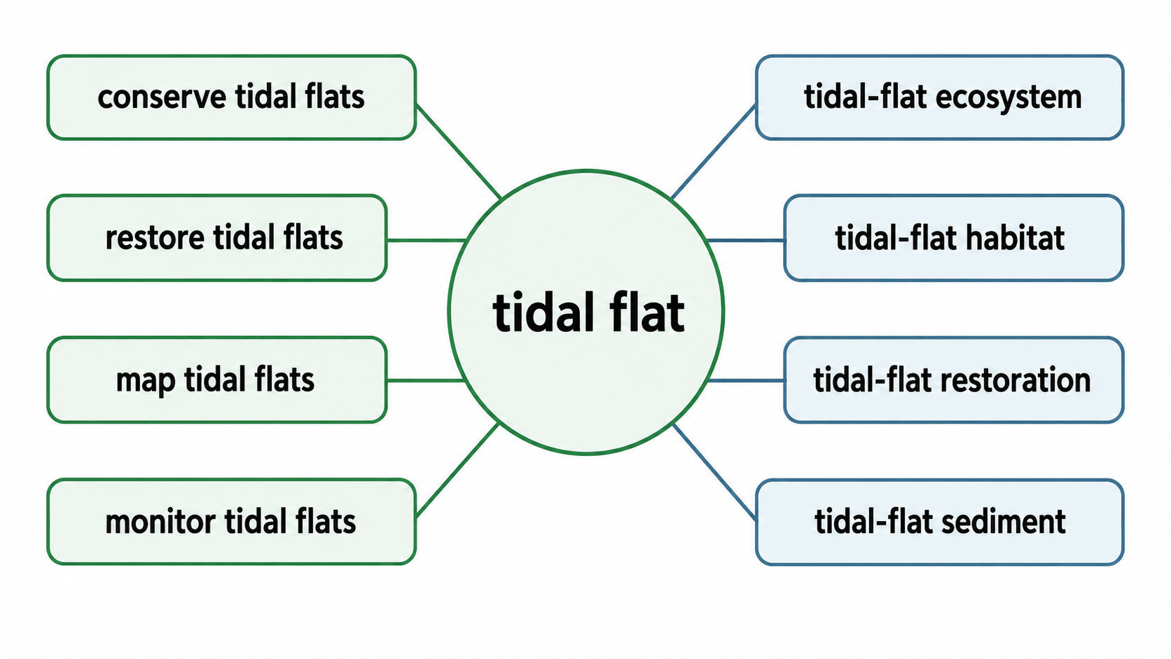 tidal flat 연어 다이어그램