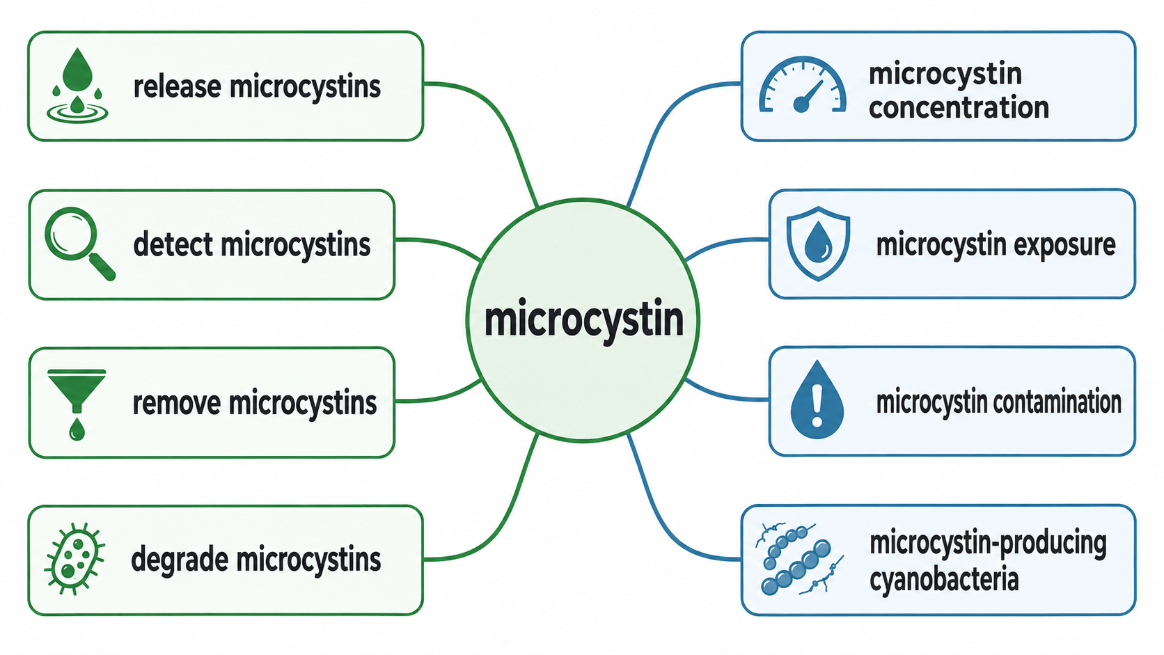 microcystin 연어 다이어그램