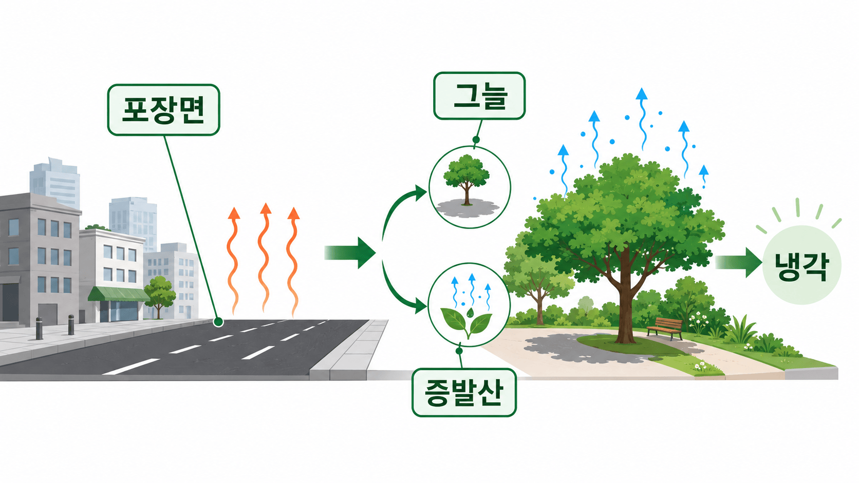 포장면의 열과 녹지의 그늘·증발산에 의한 냉각 원리