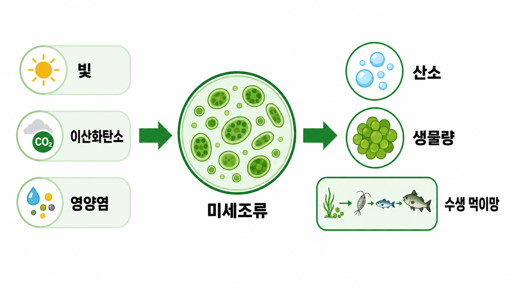 미세조류 개념도