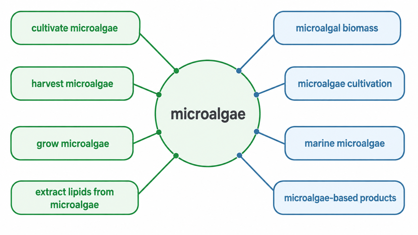 microalgae 연어 다이어그램