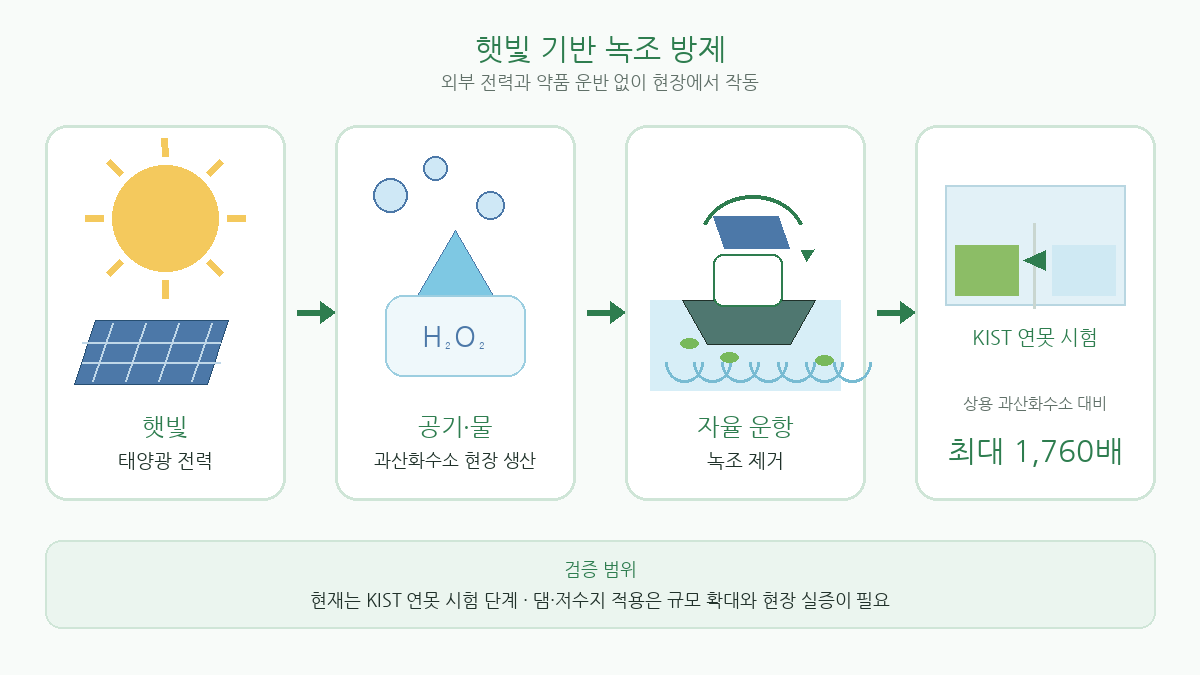 햇빛 기반 자율 수상로봇의 녹조 제거 원리와 검증 범위