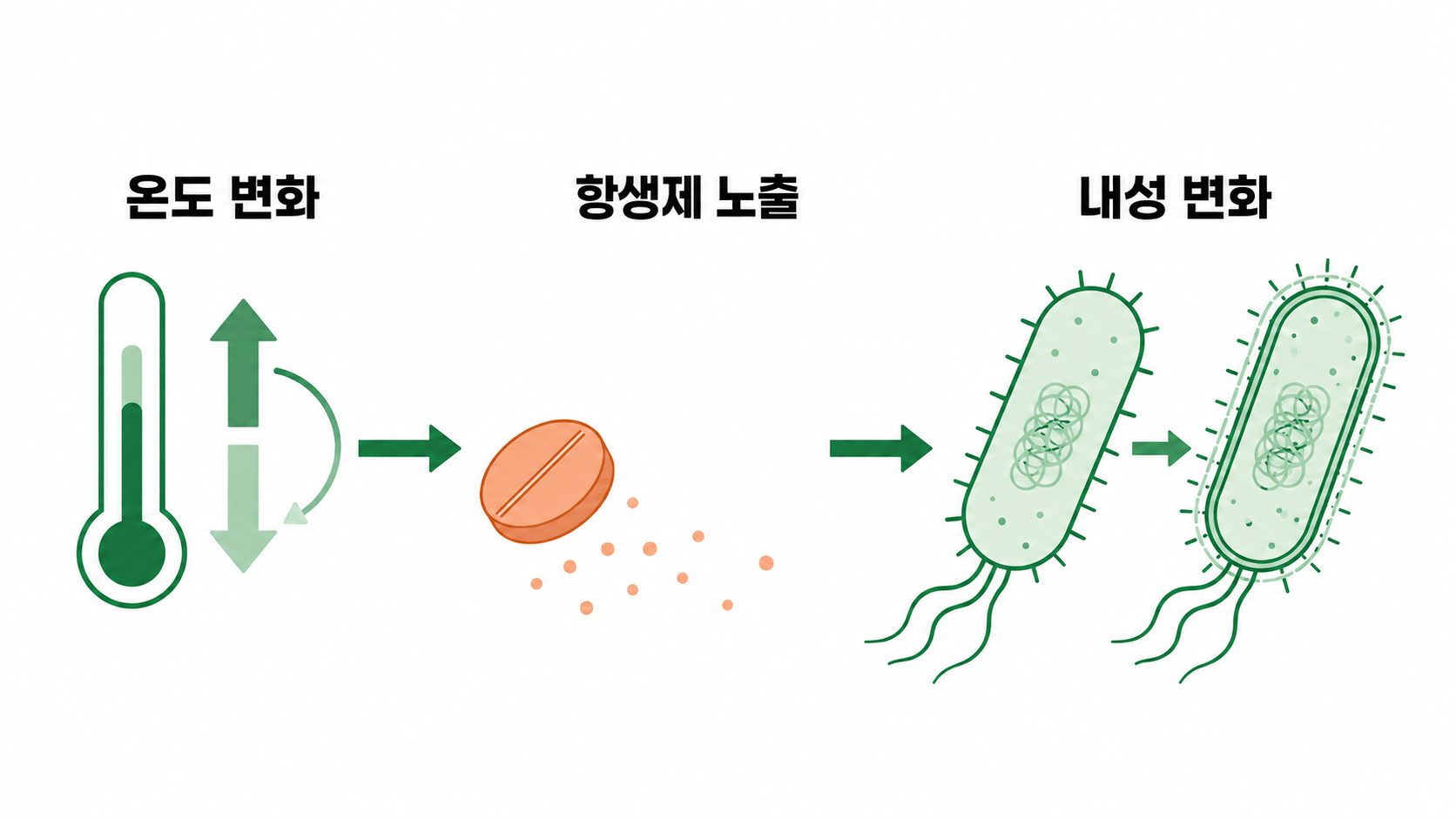 온도 변화와 항생제 노출이 대장균 내성 변화에 함께 작용하는 배경 삽화