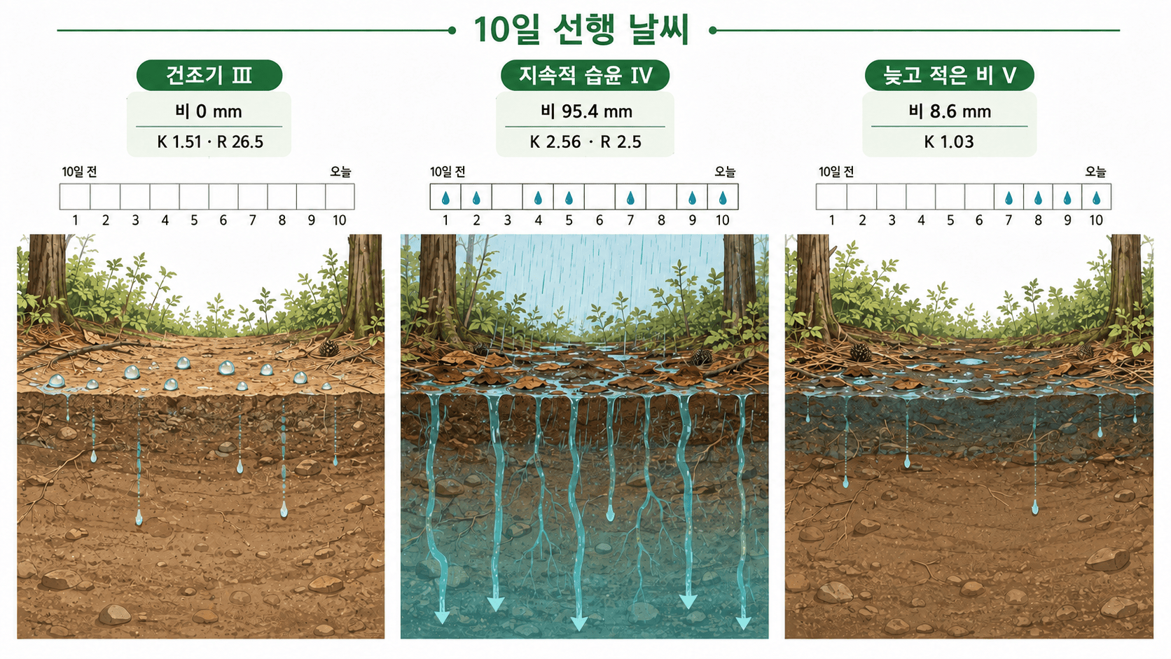 건조기 III, 지속적으로 비가 내린 기간 IV, 늦고 적은 비가 내린 기간 V 뒤의 토양 침투와 발수성 비교
