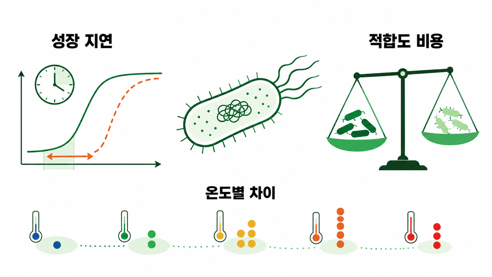 대장균의 성장 지연과 적합도 비용이 온도별로 달라진 결과 삽화