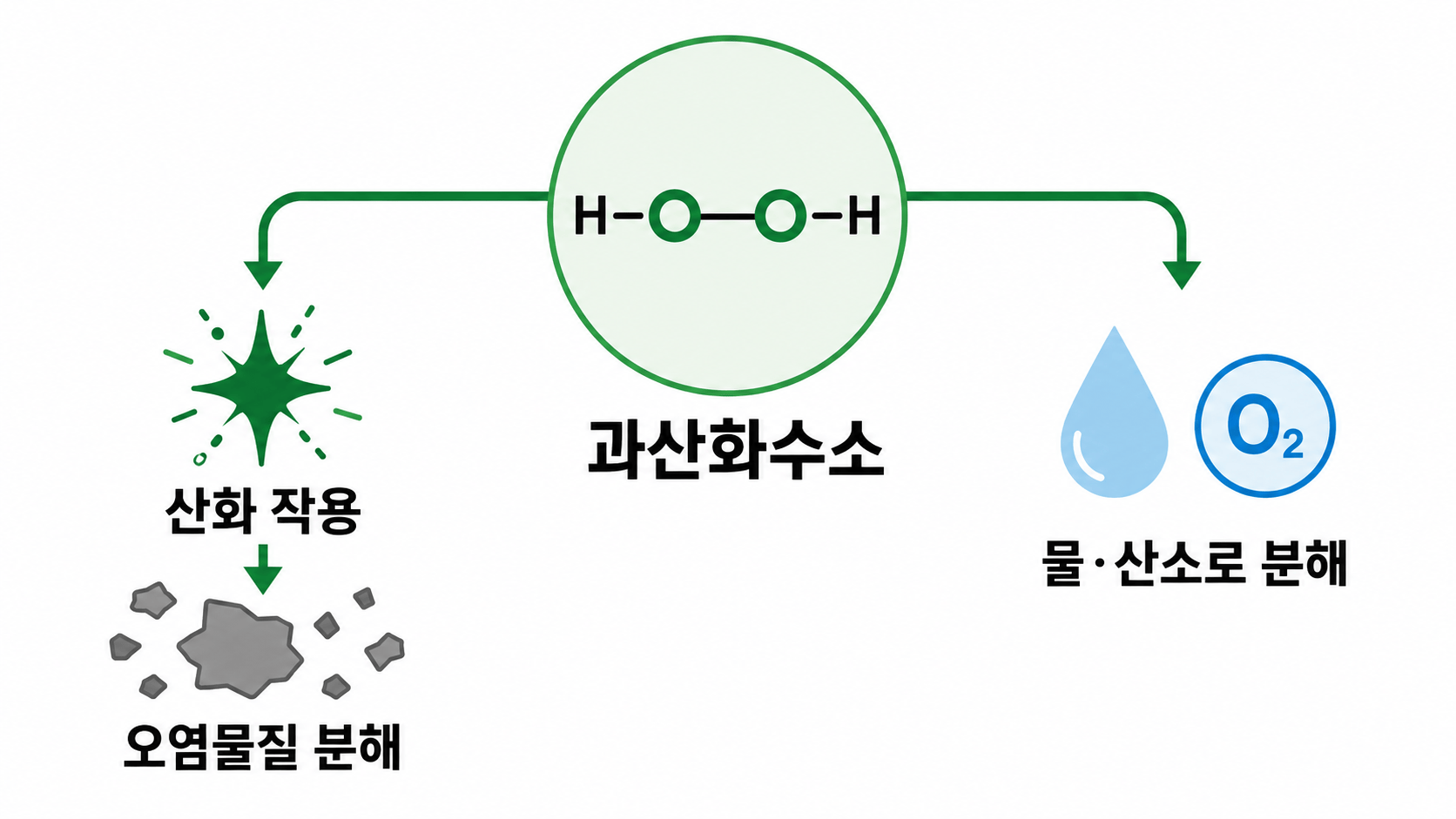 과산화수소 개념도