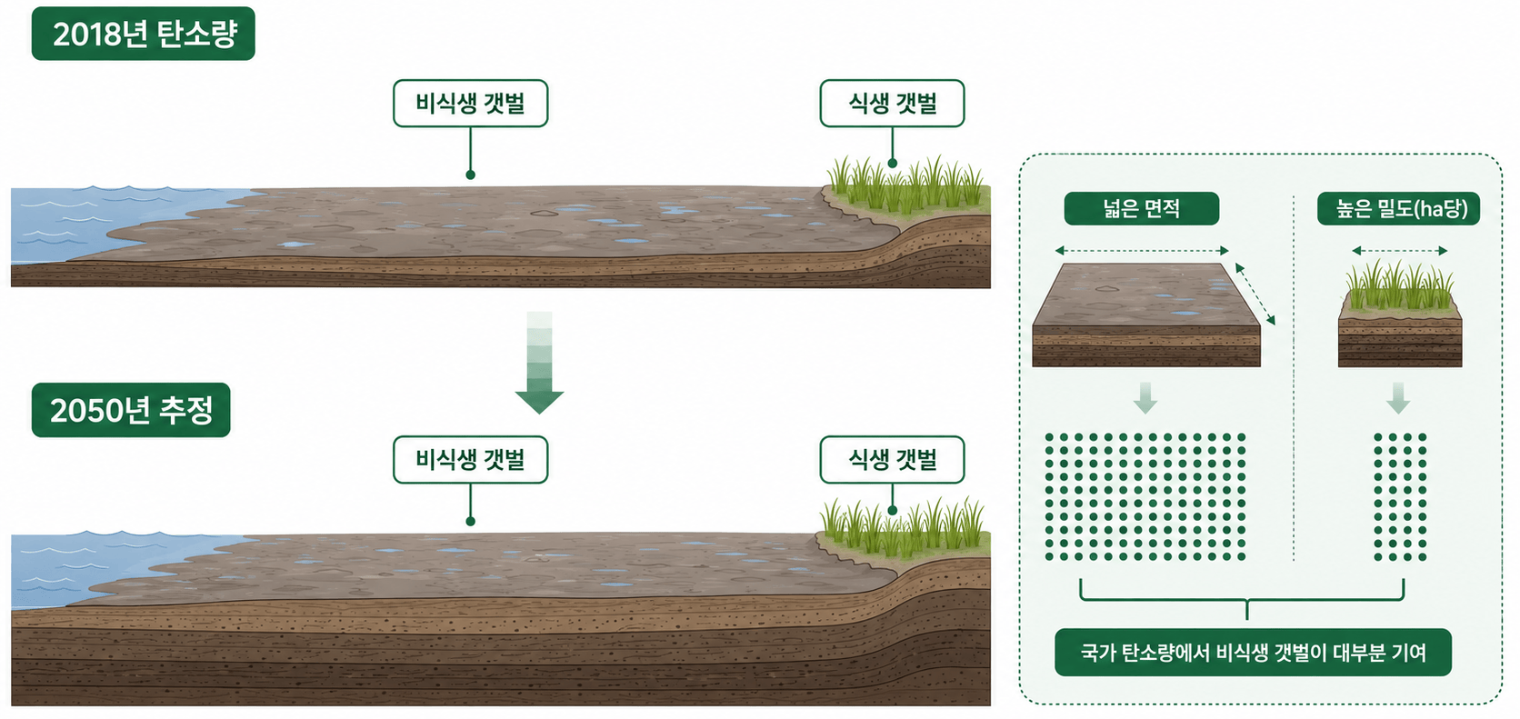 2018년부터 2050년까지 모의된 갯벌 탄소량 증가와 식생 유무별 기여 삽화