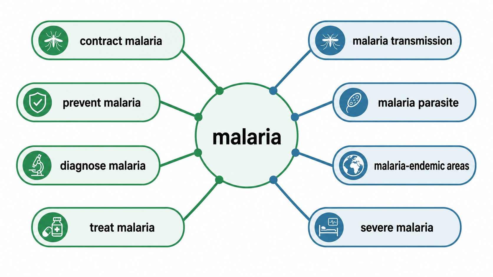 malaria 영어 연어 방사형 다이어그램