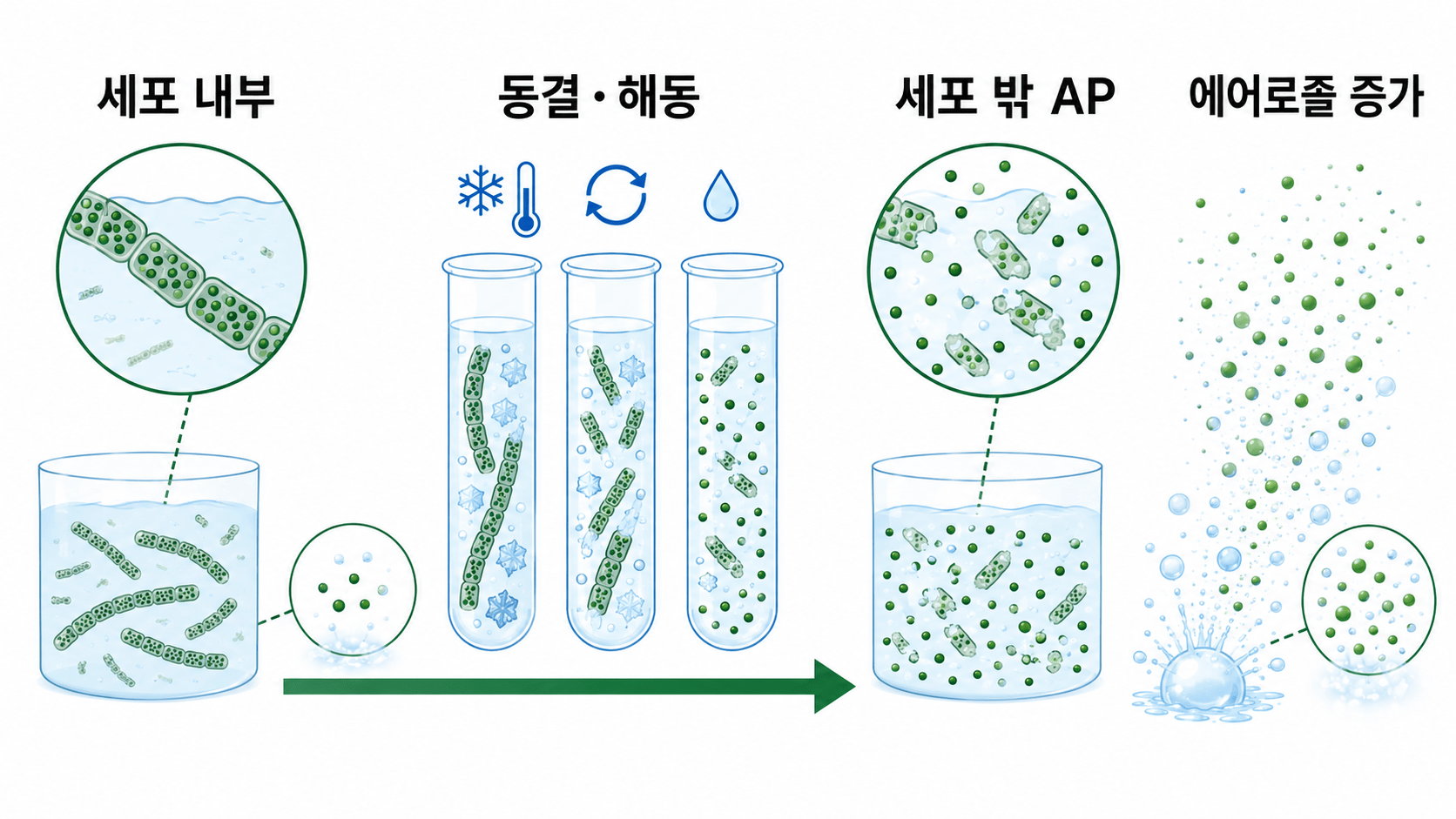 동결·해동으로 남세균 세포가 파괴된 뒤 에어로졸 AP가 증가한 실험 결과 삽화