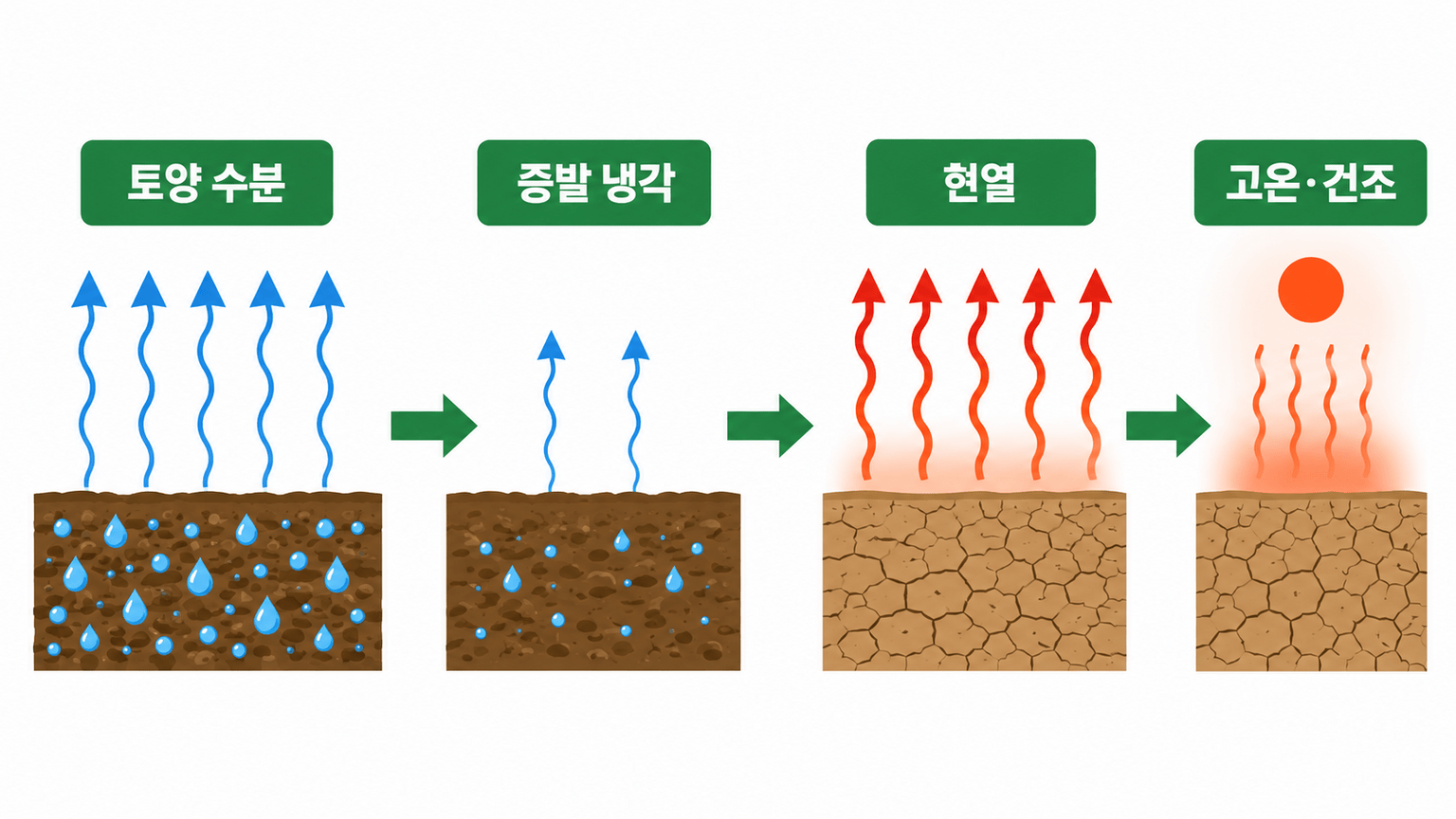 마른 땅이 다시 더위를 키우는 토양-대기 되먹임 삽화
