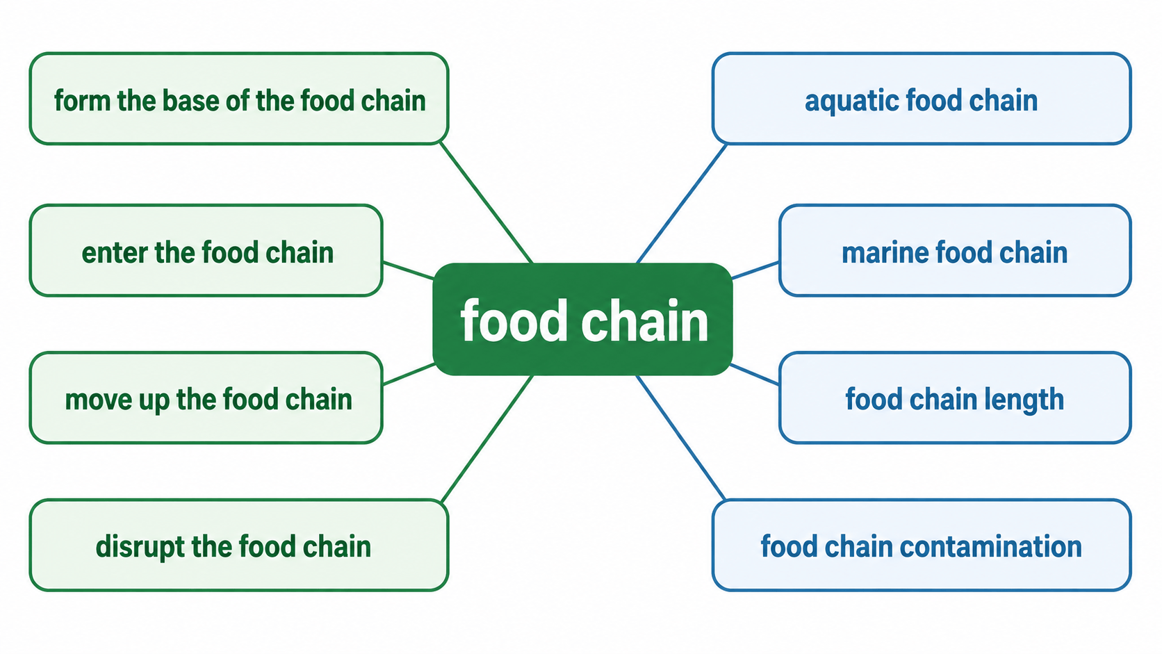 food chain과 함께 쓰는 동작 표현과 설명 확장 표현을 정리한 영어 연어 지도
