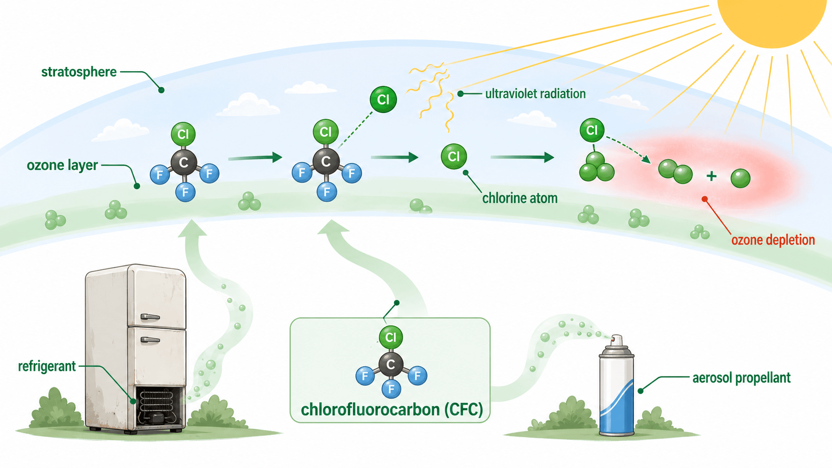 chlorofluorocarbon 오존층 파괴 과정 인포그래픽