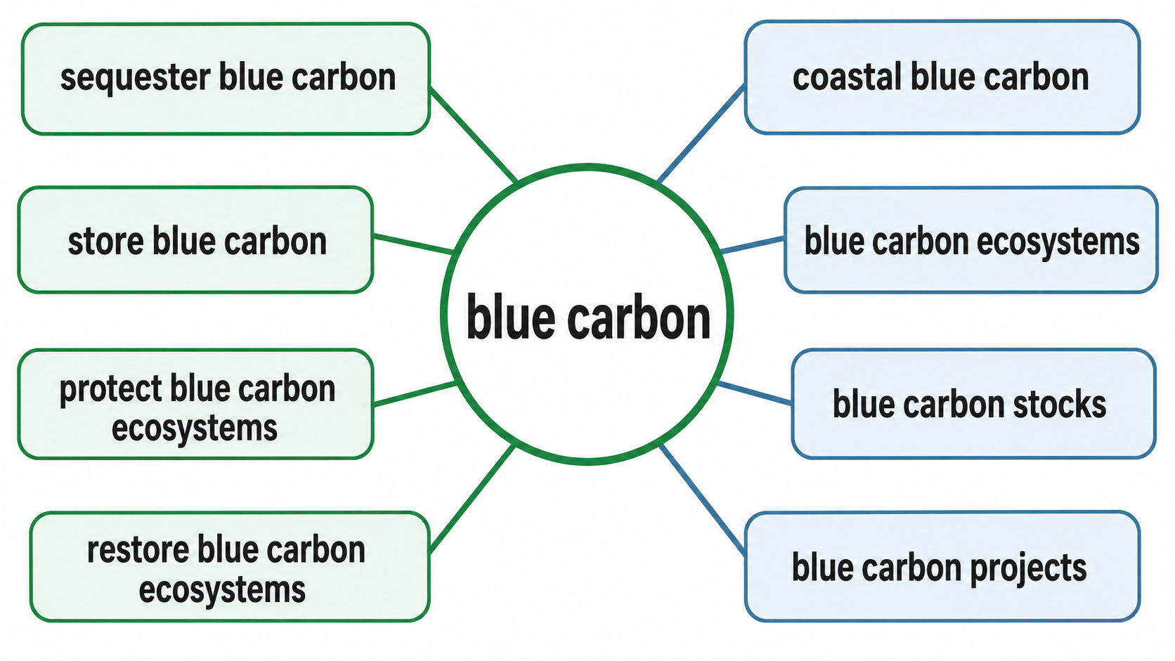 blue carbon 연어 다이어그램