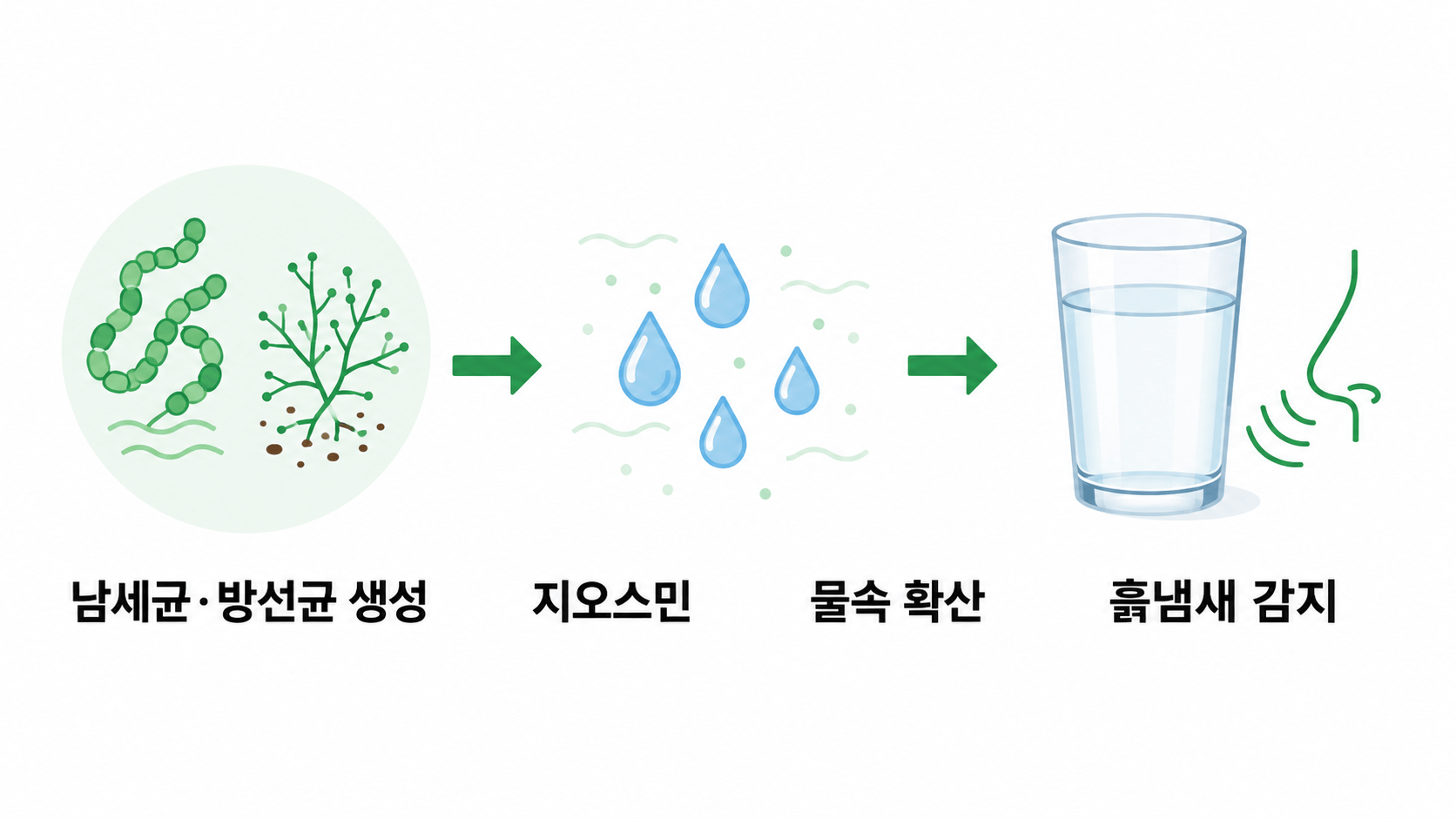 지오스민 개념도
