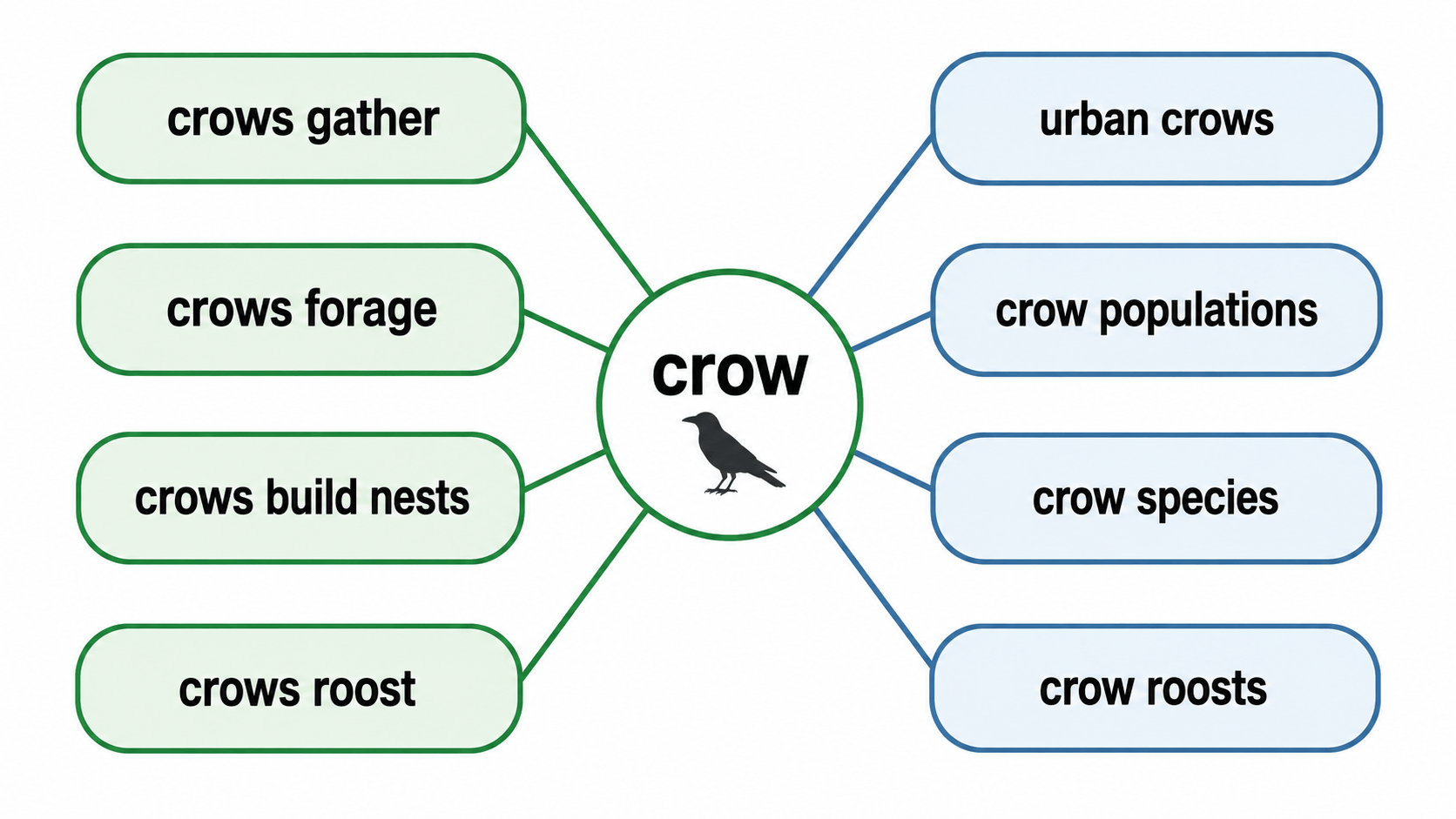 crow 영어 연어 방사형 다이어그램