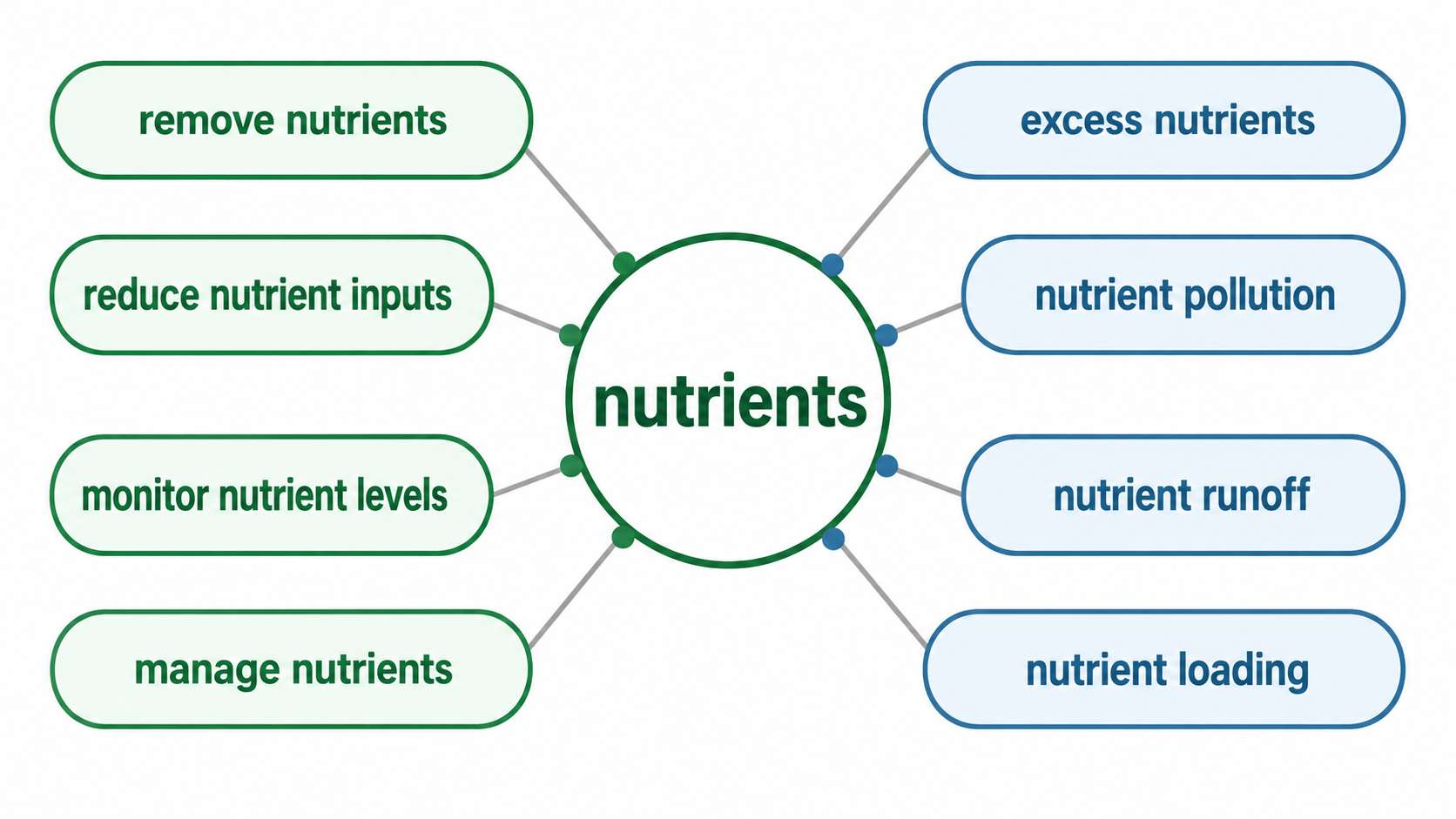 nutrients 연어 다이어그램