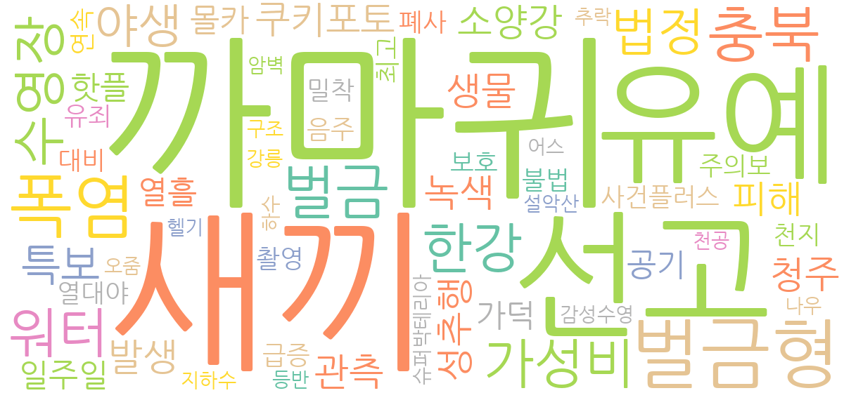 2026년 8월 1일 환경 뉴스 제목 워드클라우드