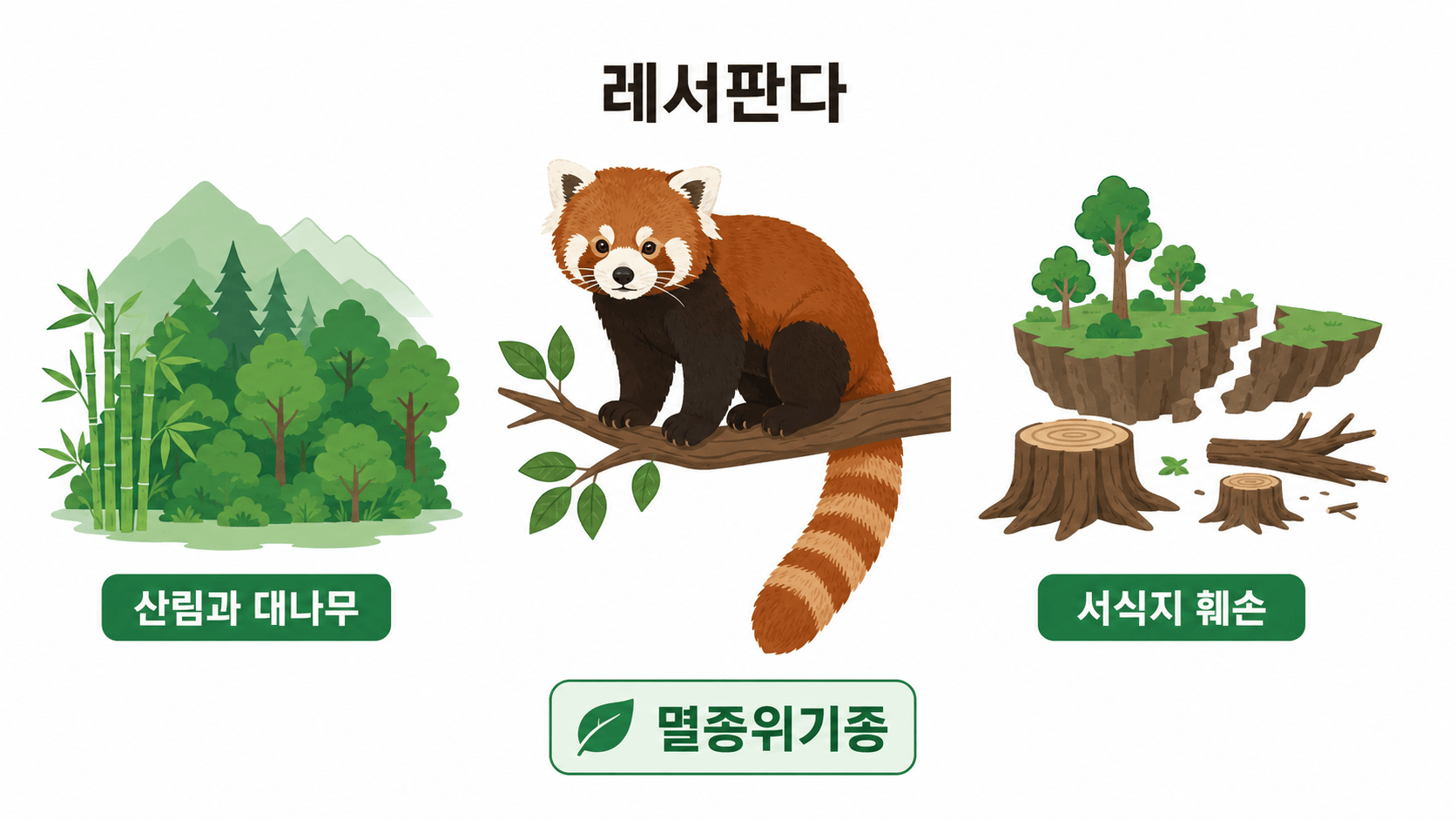 레서판다 개념도
